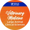 Veterinary Medicine-Large Animal Clinical Sciences
